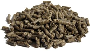 Beet Pulp Pellets