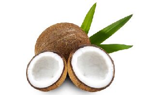 Coconut Half Cut