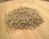 cumin seeds