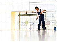 shine floor cleaner