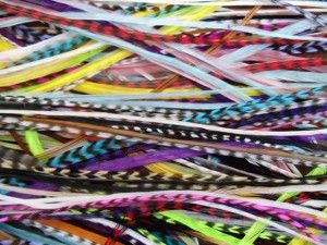 Grizzly Rooster Feathers