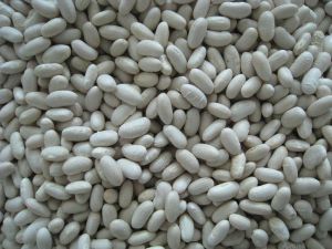 2017 New Crop Large White Kidney Beans