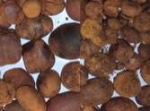 COW/OX Gallstones Available