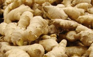 fresh ginger,  Packaging Size :50Kg