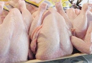 Halal Frozen Whole Chicken,  Frozen : Yes