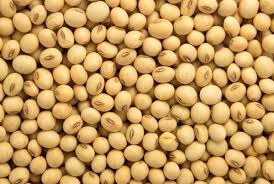 Soybeans