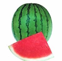 Round Dragon Watermelon
