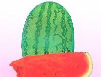 Super Dragon Watermelon