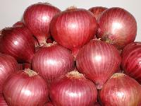 Baswant 780 Onion Seeds