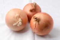 Nashik Gavran Onion Seeds