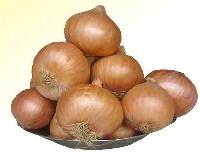 Poona Fursungi Onion Seeds