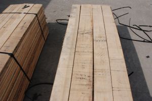 Hardwood: Sawn Timber - Lumber - Planed Timber