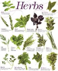 raw herbs
