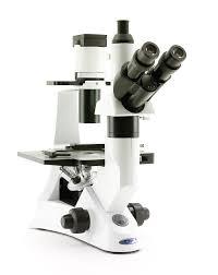 Scientific Microscopes