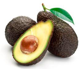 Avocado Fruit