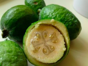 Fruit Feijoa