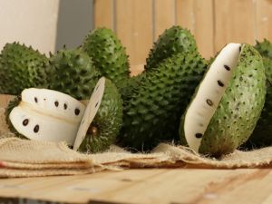 Soursop