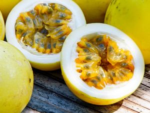 Yellow Passion Fruit