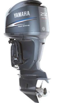Outboard Motor