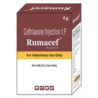 Rumacef Injection