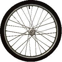 Bicycle Wheels