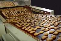 biscuit making machines