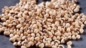 Black Eyed Beans, Grade Standard : Food Grade