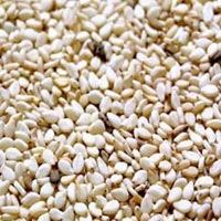 Sesame Seeds