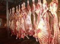 Australian Lamb & Mutton ( Halal & Frozen)