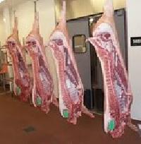 Lamb Square Cut Shoulder