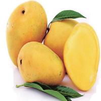 mango flavours