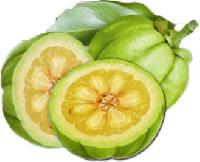 garcinia cambogia