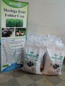 Seeds & Plant Saplings