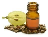 GRAPE SEED OIL