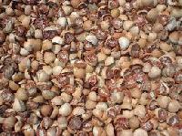 Dried Split Betel Nuts