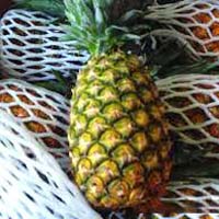 Fresh Pineapples