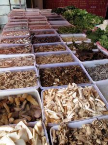 Hot Sale Growing Fresh King Oyster Mushroom Equipment For Sale