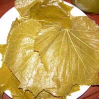 Preserved Grapes Leaves