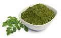 moringa oleifera powder