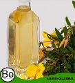 Natural Angelica Root Oil