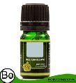 Therapeutic Grade Helichrysum Essential Oil
