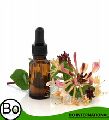 Therapeutic Grade Honeysuckle Essential Oil
