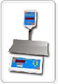 Electronic Table Top Duel Display Scales
