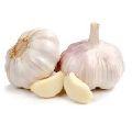 Big Size Fresh And Dry white Garlic