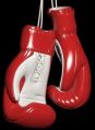 Pu Or Leather lace up boxing gloves