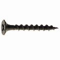 Bugle head drywall screws