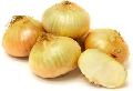Sweet Onion