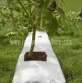 Coco Peat Planter Grow Bags (Bag Type - Closed)