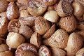 Organic Areca Nuts