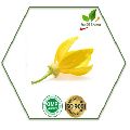 ylnag Ylang Flower Oil